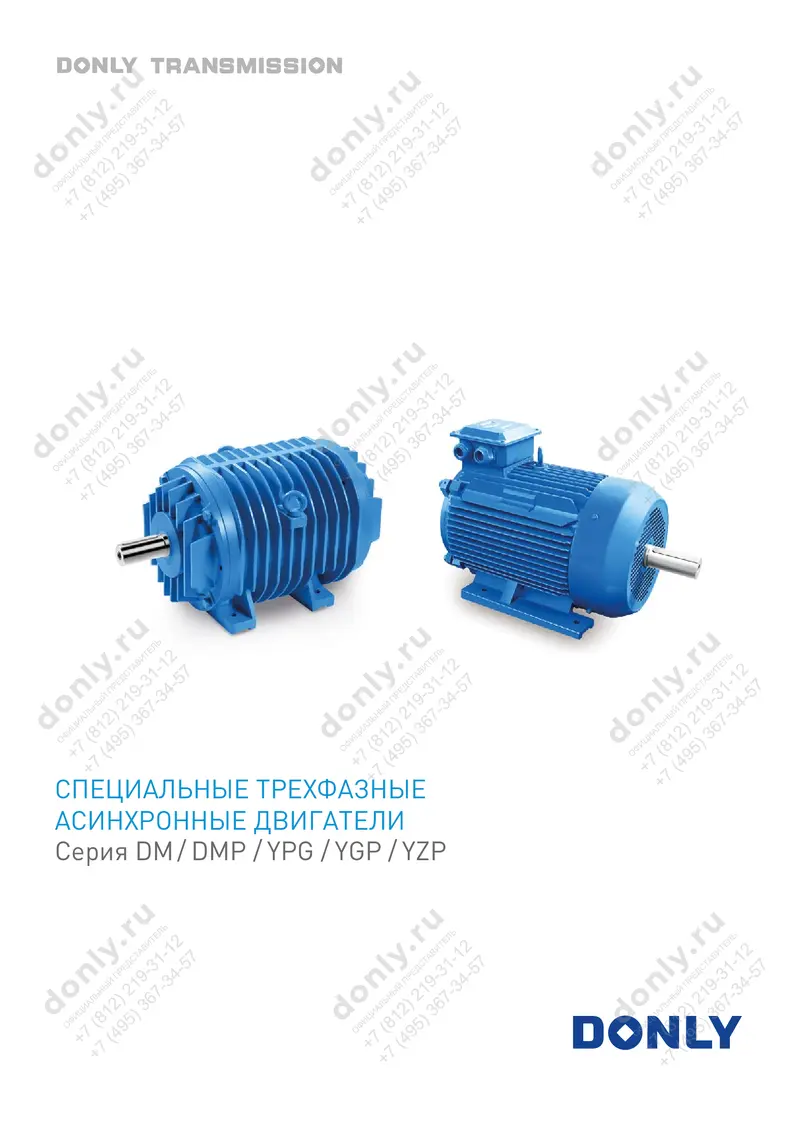 2-DM-DMP-CTA-dvigatel-DONLY